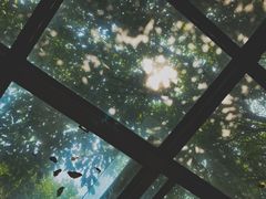 -Nirvana Cafe&Bar(北仓文创街区店)