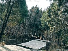 -封龙山风景区