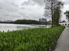 -顺峰山公园