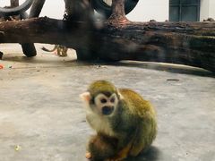 -西安秦岭野生动物园