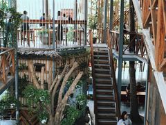 -Rainforest