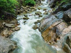 -九龙江国家森林公园