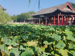 -济南大明湖景区