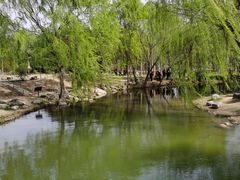 -郑州植物园