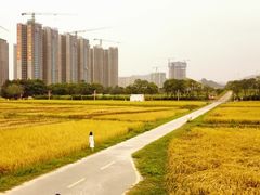 -光明小镇欢乐田园