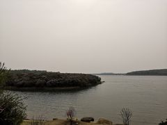 -丁香湖公园