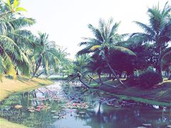 -白沙门生态公园