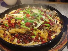 -老板恋上鱼(恒隆广场店)