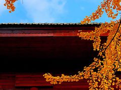 -龙华寺
