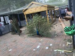 -长白岛森林公园