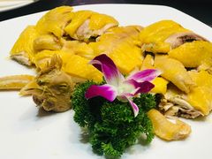 白切阳山鸡-广东胜利宾馆西关粤中餐厅
