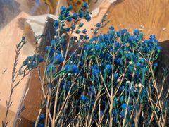 -蔚来中心(北京中关村店)