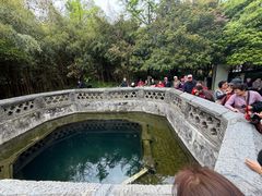 -习家池