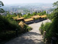 -铁山坪森林公园