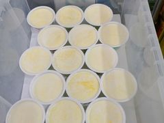 -德禄酸奶(莫家街店)