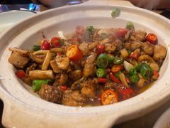 -新白鹿餐厅(城西银泰城店)