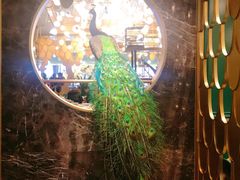 -雀蓝川菜(奥体广场店)