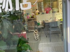 -麻伊伏土菜馆(朗州路店)