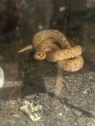 -HEY!TATTOO·嘿刺青