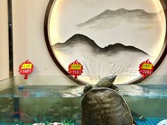 -东湖印象汉寿特色甲鱼钵子菜(渔人码头店)