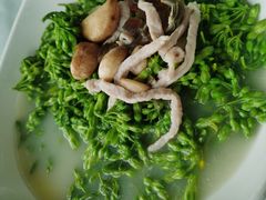 上汤夜兰花-八仔大富楼·河鲜(西江店)