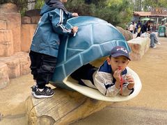 -大连海昌发现王国主题公园