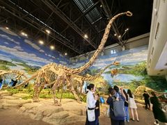 -自贡恐龙博物馆