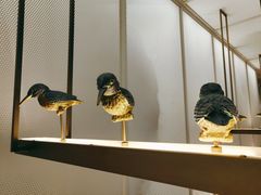 -潮堂 · 潮州菜(人广来福士店)