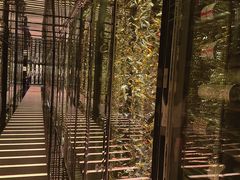 -天龙轩(香港丽思卡尔顿酒店)