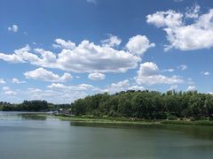 -大兴滨河森林公园