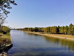 -南汇新城城市公园
