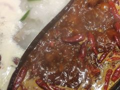 -蜀大侠火锅(森兰花园城店)