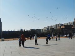 -大连人民广场