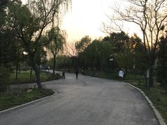 -蜀冈西峰生态公园