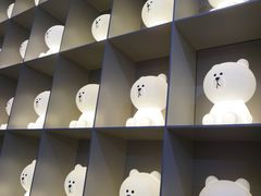 -line friends(明洞旗舰店)