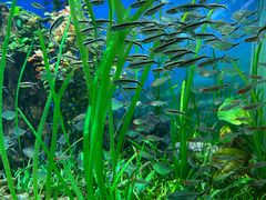 -太平洋海底世界