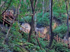 -大岭沟猕猴桃谷风景区