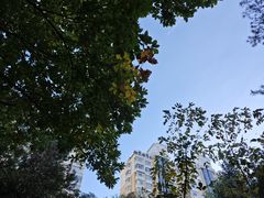 -黑龙江省森林植物园