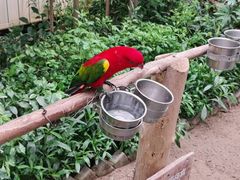 -南宫五洲植物乐园