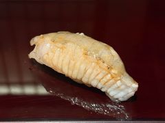 比目鱼裙边手握-鮨龍