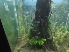 -海合安武汉极地海洋公园