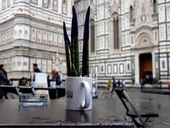 -圣母百花大教堂穹顶