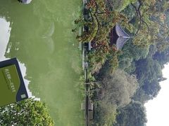 -云溪植物园