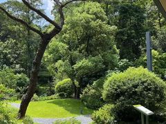 -云溪植物园