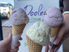 -Dooley's Premium Ice Cream