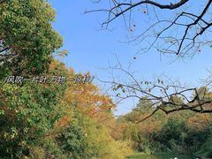 -西溪国家湿地公园