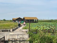 -宁波杭州湾国家湿地公园