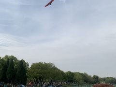 -艾溪湖湿地公园