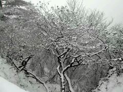 -华山风景名胜区-苍龙岭