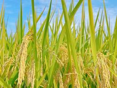 -东钱湖旅游度假区